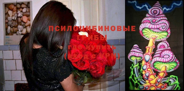 прущая мука Саяногорск