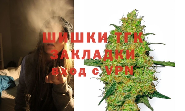 сатива Бежецк