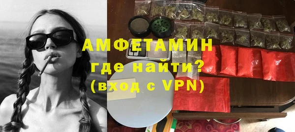 молекула духа Семилуки