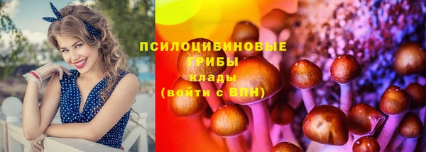 сатива Бежецк